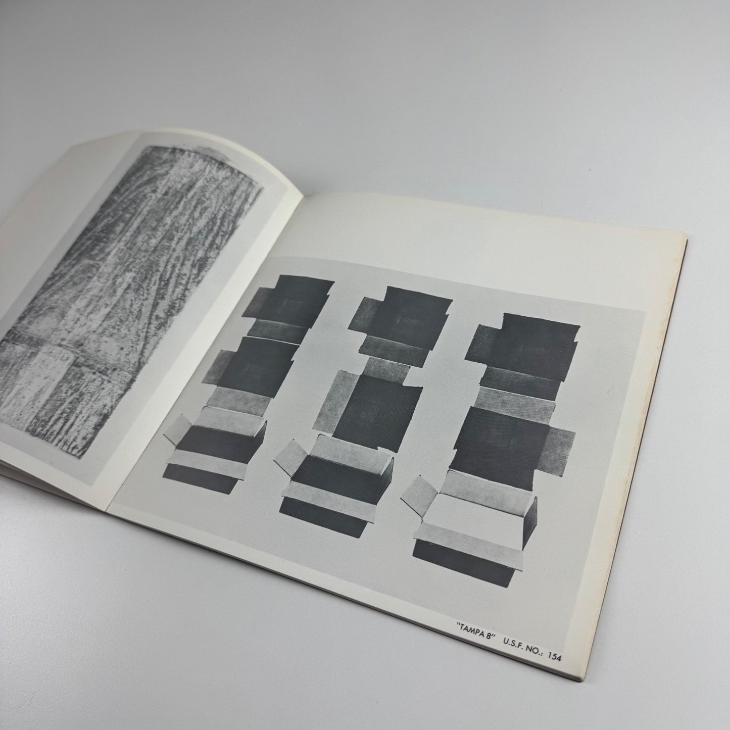 Rauschenberg at GraphicStudio | University of South Florida, 1974