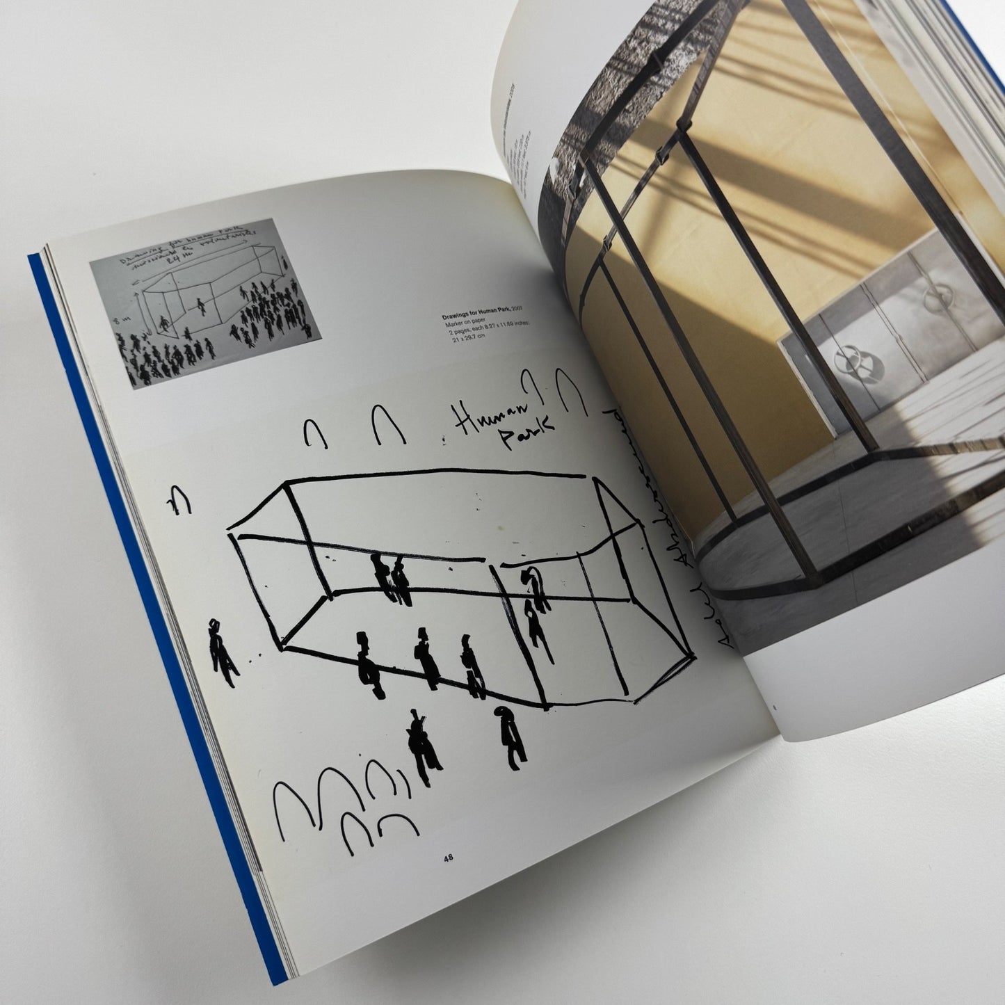 Adel Abdessemed. Situation and Practice | MIT List Visual Arts Center, Boston, 2009