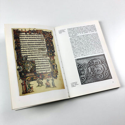 Image On The Edge: The Margins of Medieval Art | Michael Camille, 1992