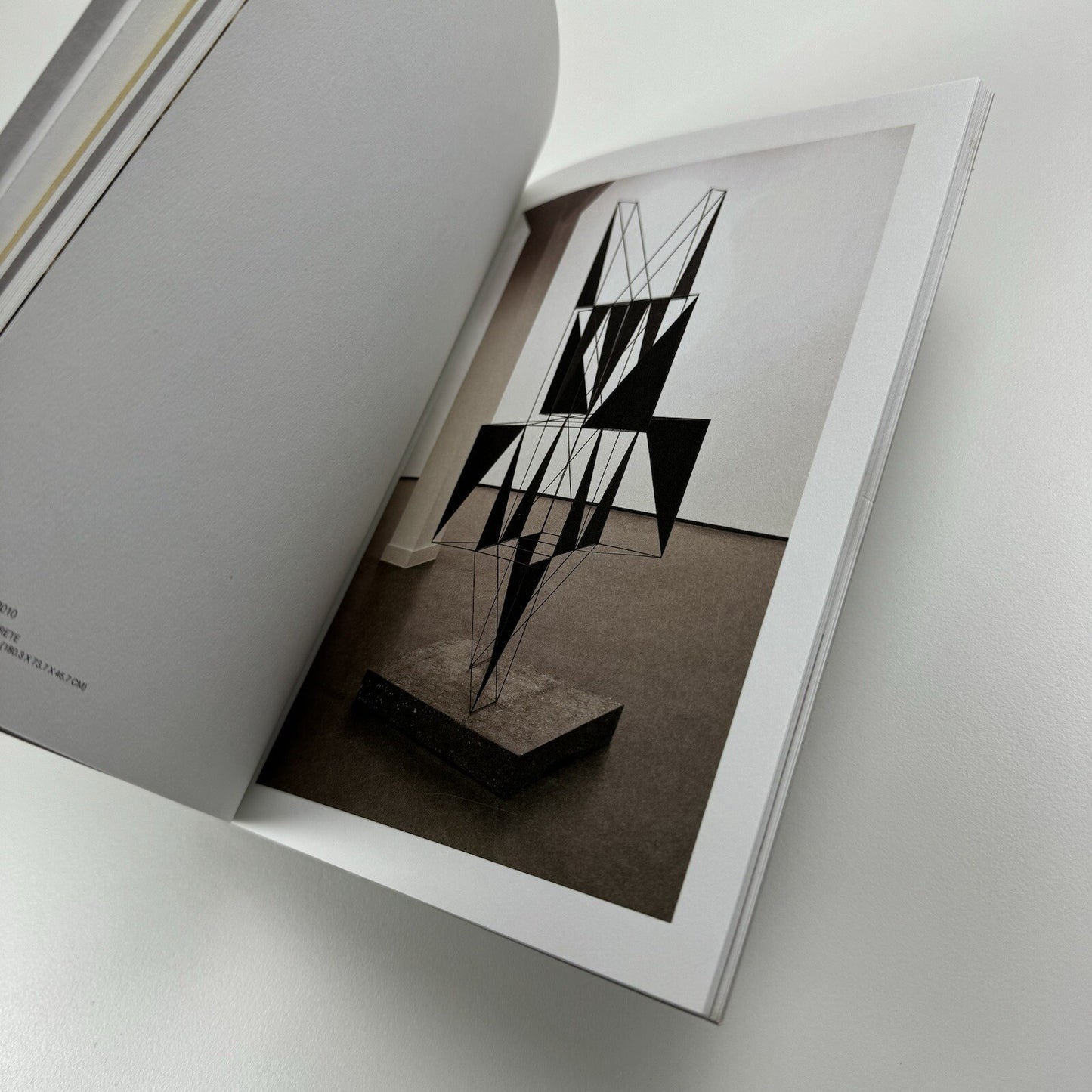 Nick van Woert. Breaking and Entering | Yvon Lambert New York, 2011 catalogue