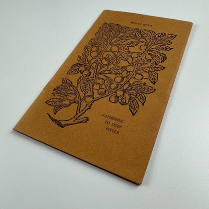 Poems Return to Spring & Gathering to Deep Water by Scott Chaskey | Megan Boyd | David Stevens printer, Quay Books, 1988