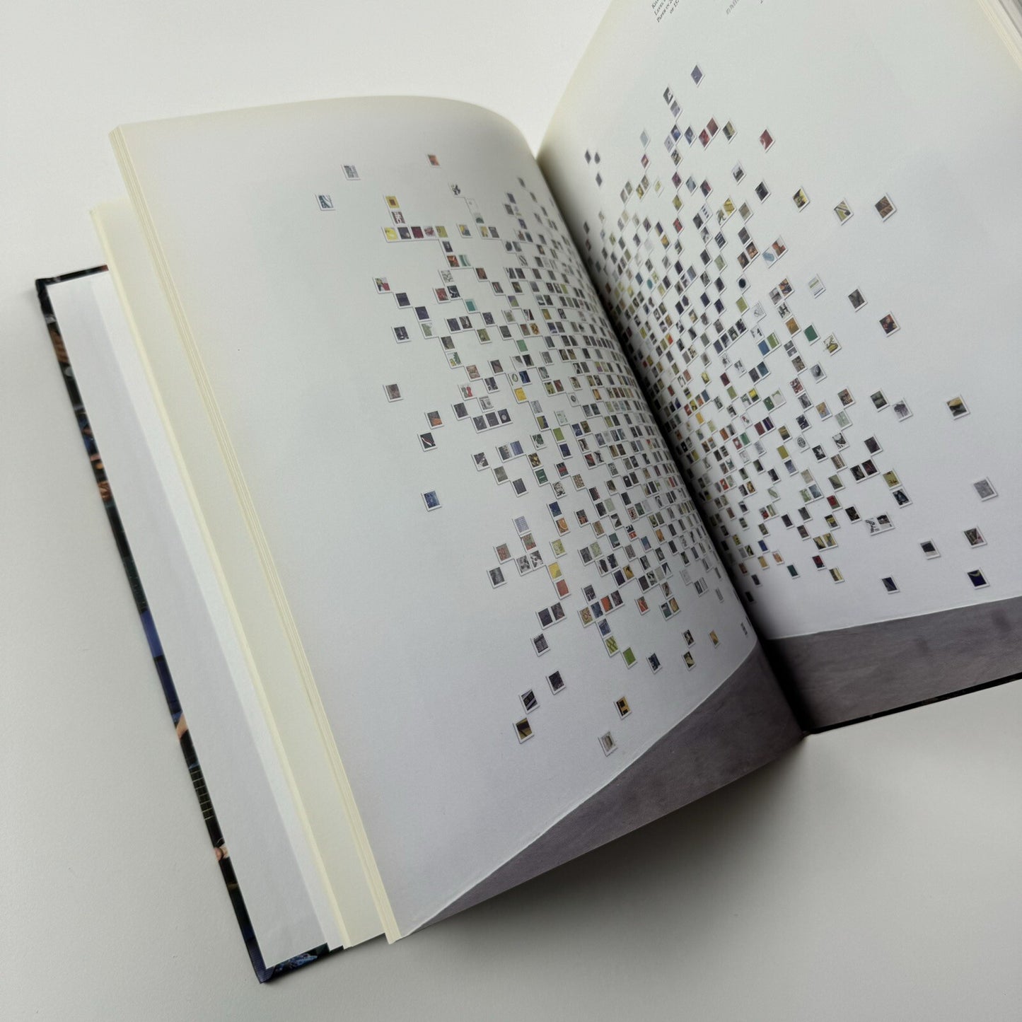 Guy Limone – Amongst | Galerie Perrotin 2012 exhibition catalogue