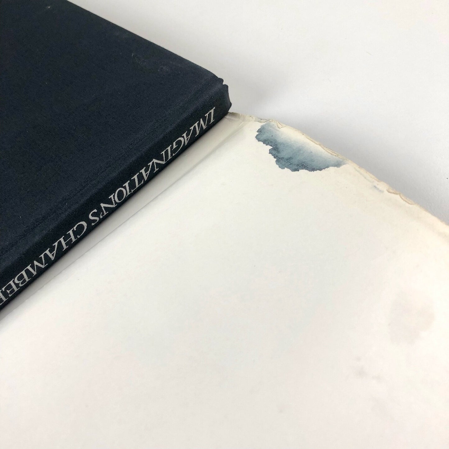 Imagination's Chamber by Alice Bellony-Rewald and Michael Peppiatt, 1983