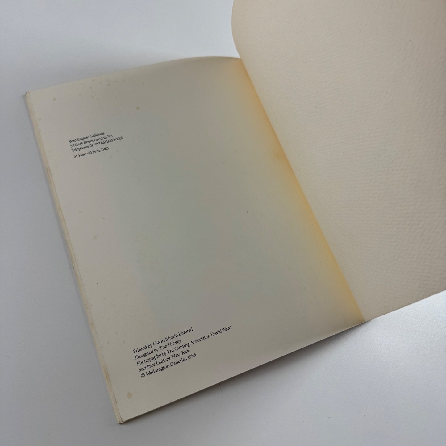 Barry Flanagan | Waddingon Galleries, 1985