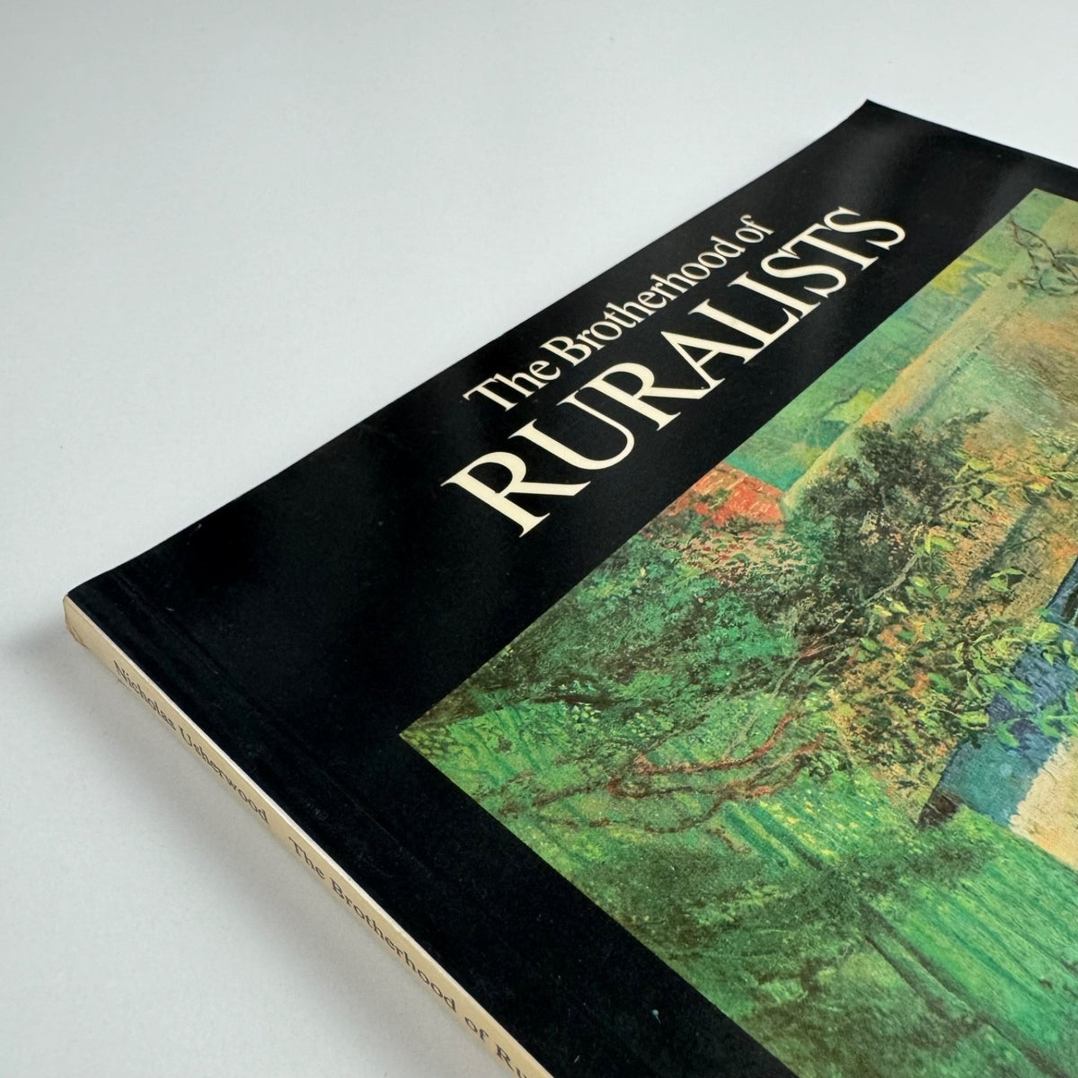 The Brotherhood of Ruralists by Nicholas Usherwood | Arnolfini Gallery 1980