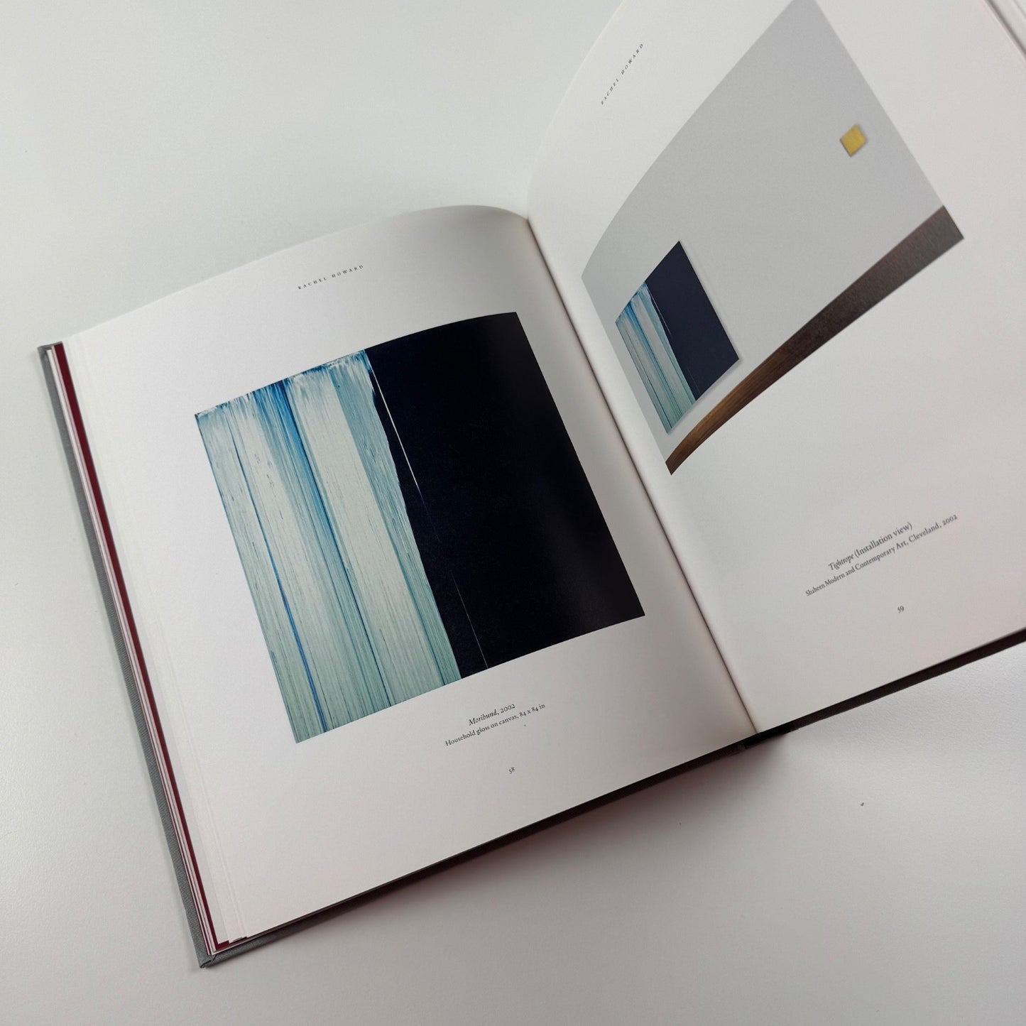 Rachel Howard | Blain Southern, 2011