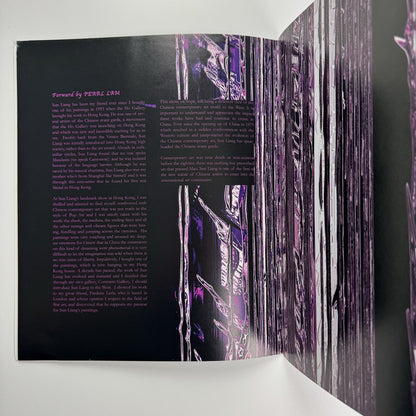 Sun Liang. Reflections | Contrasts Gallery Shanghai | Exhibition catalogue, 2005