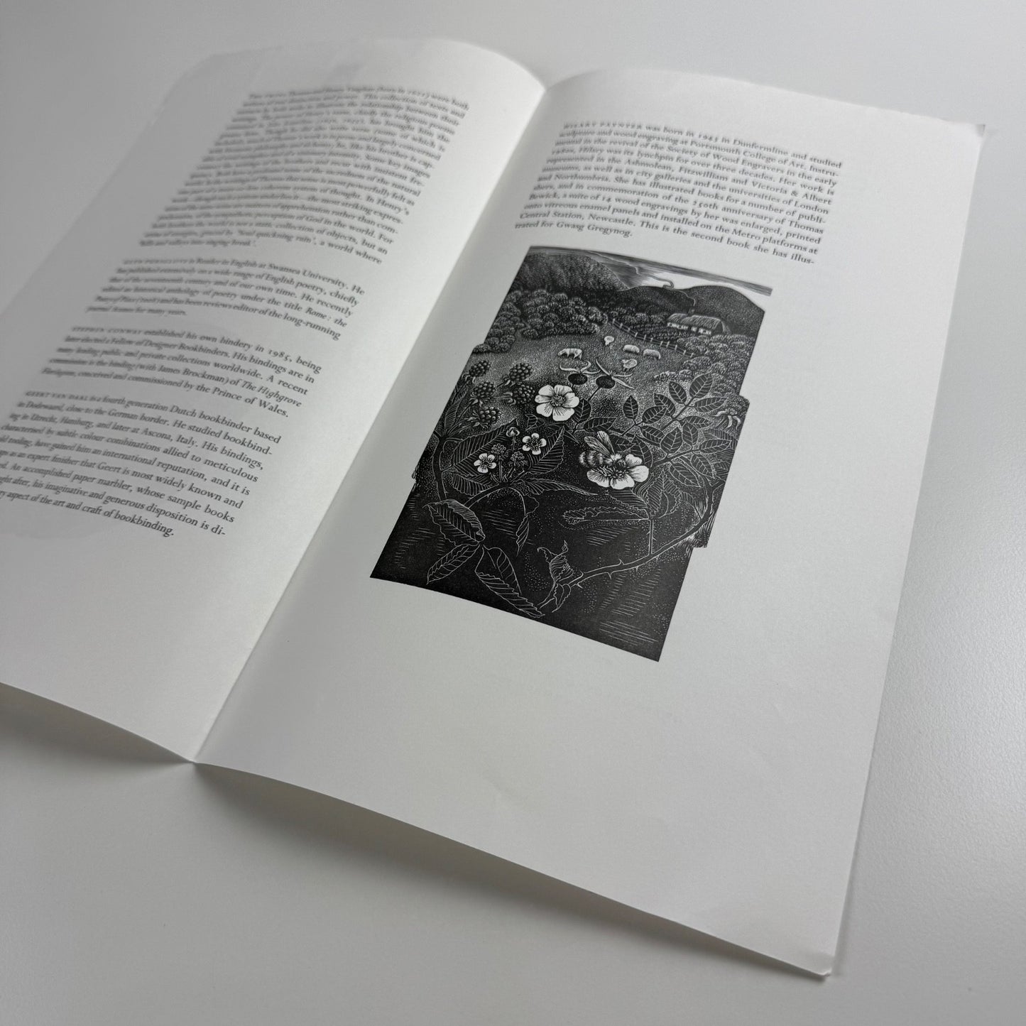 Prospectus for The Texture of the Universe edited by Glyn Pursglove wood engravings by Hilary Paynter Gregynog