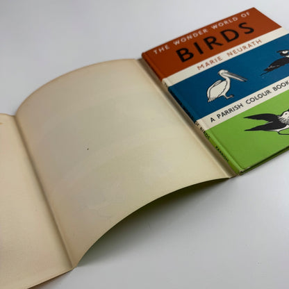 The Wonder World of Birds by Marie Neurath | Max Parrish, 1953 Isotype Institute