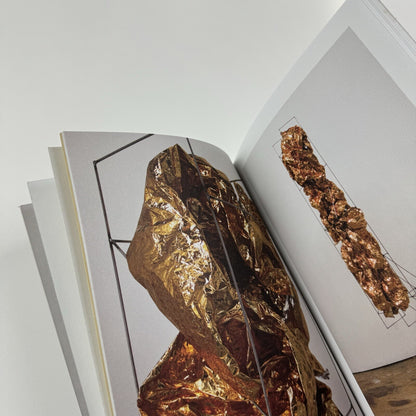 Nick van Woert. Breaking and Entering | Yvon Lambert New York, 2011 catalogue
