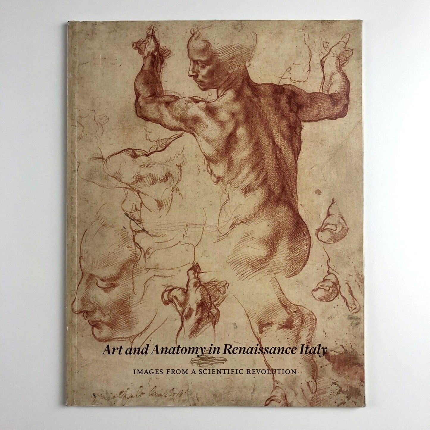 Art and Anatomy in Renaissance Italy by Domenico Laurenza | The Met, 2012