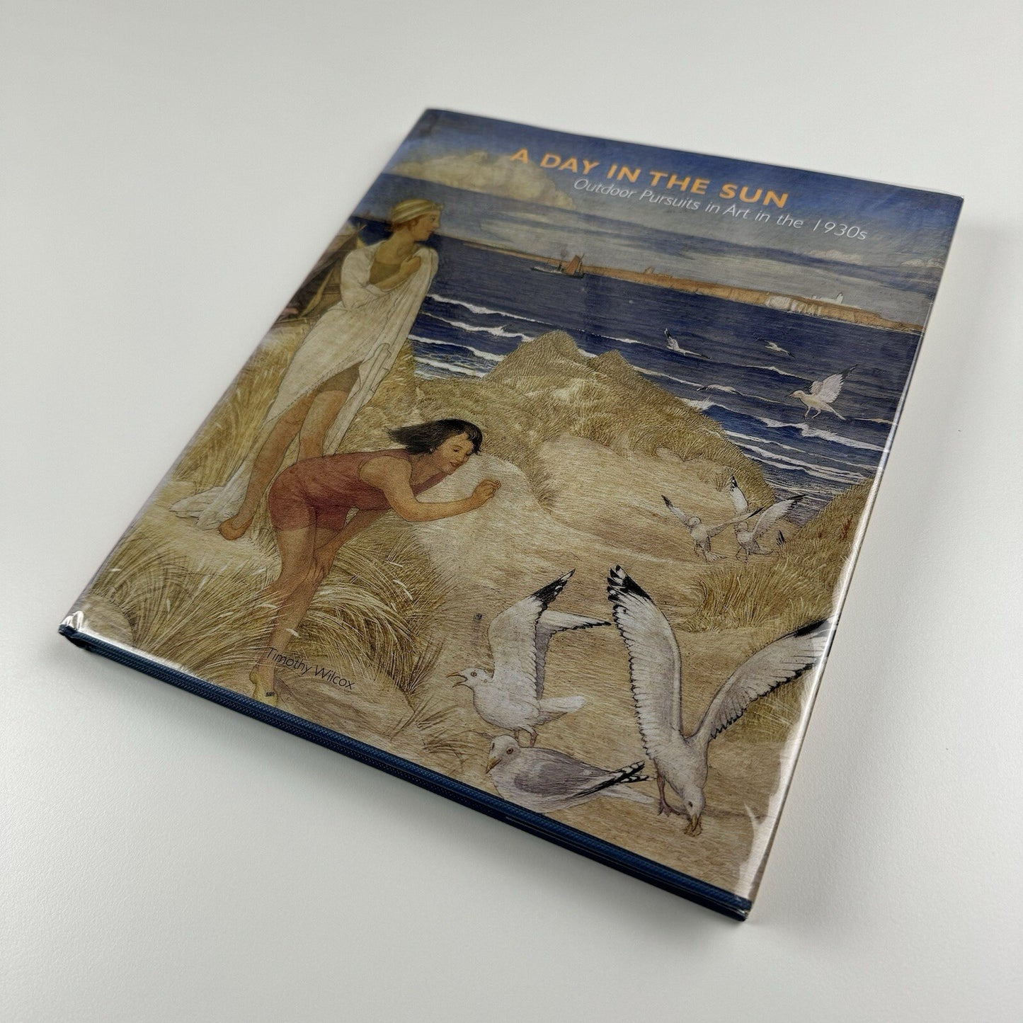 A day in the Sun, Outdoor Pursuits in Art in the 1930s | Timothy Wilcox, 2006