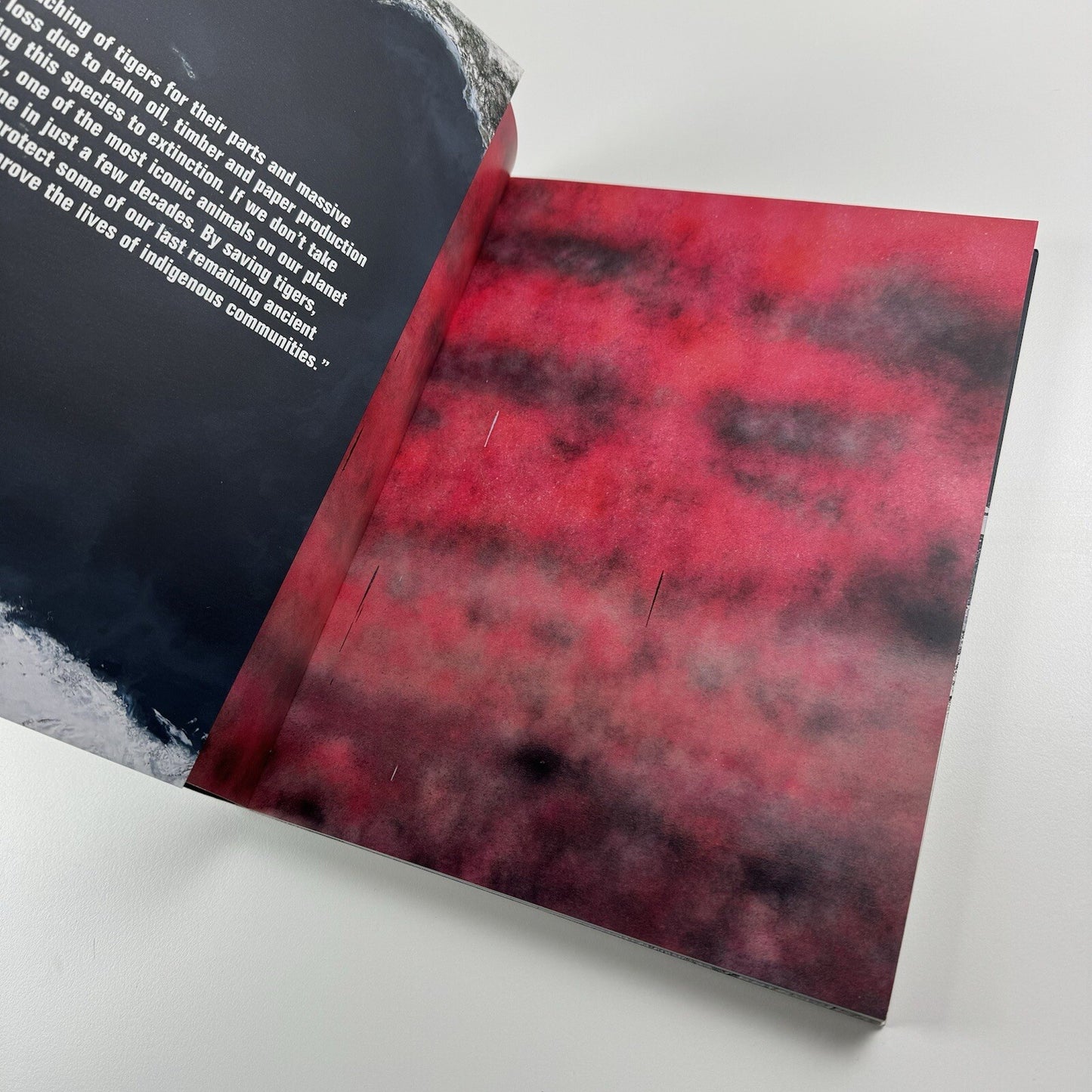 The 11th Hour. Leonardo di Caprio Foundation | Christie's New York catalogue, 13 May 2013