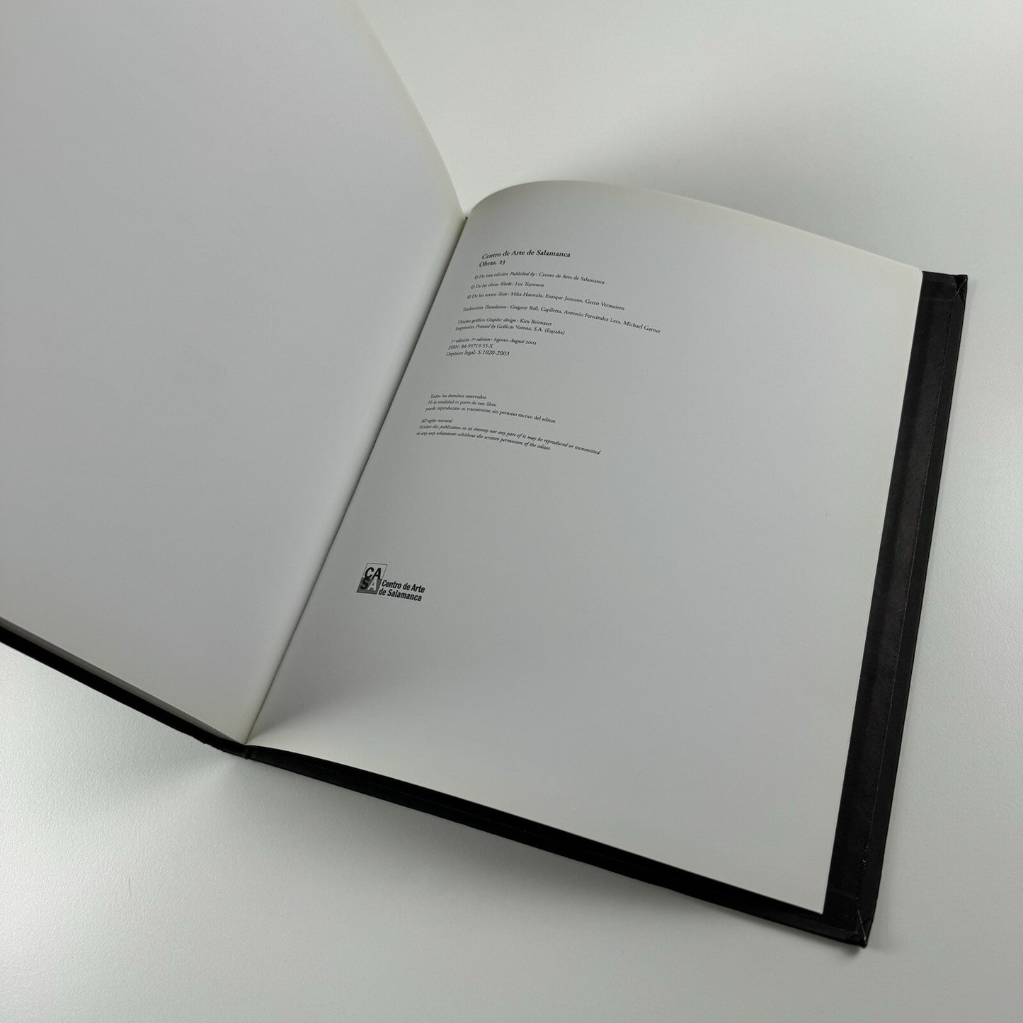 Luc Tuymans. Display | Helsinki Kunsthalle and Centro de Arte de Salamanca | 2003-04 exhibition catalogue