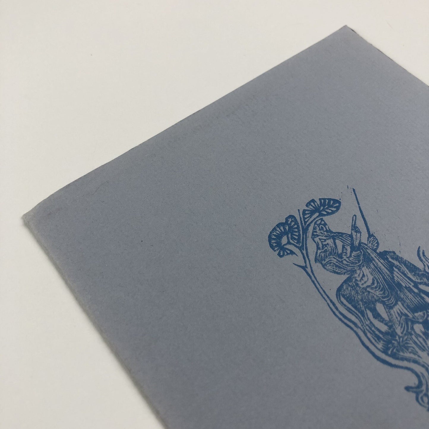 Promotional leaflet for Tern Press | Nicholas and Mary Parry, c.1988