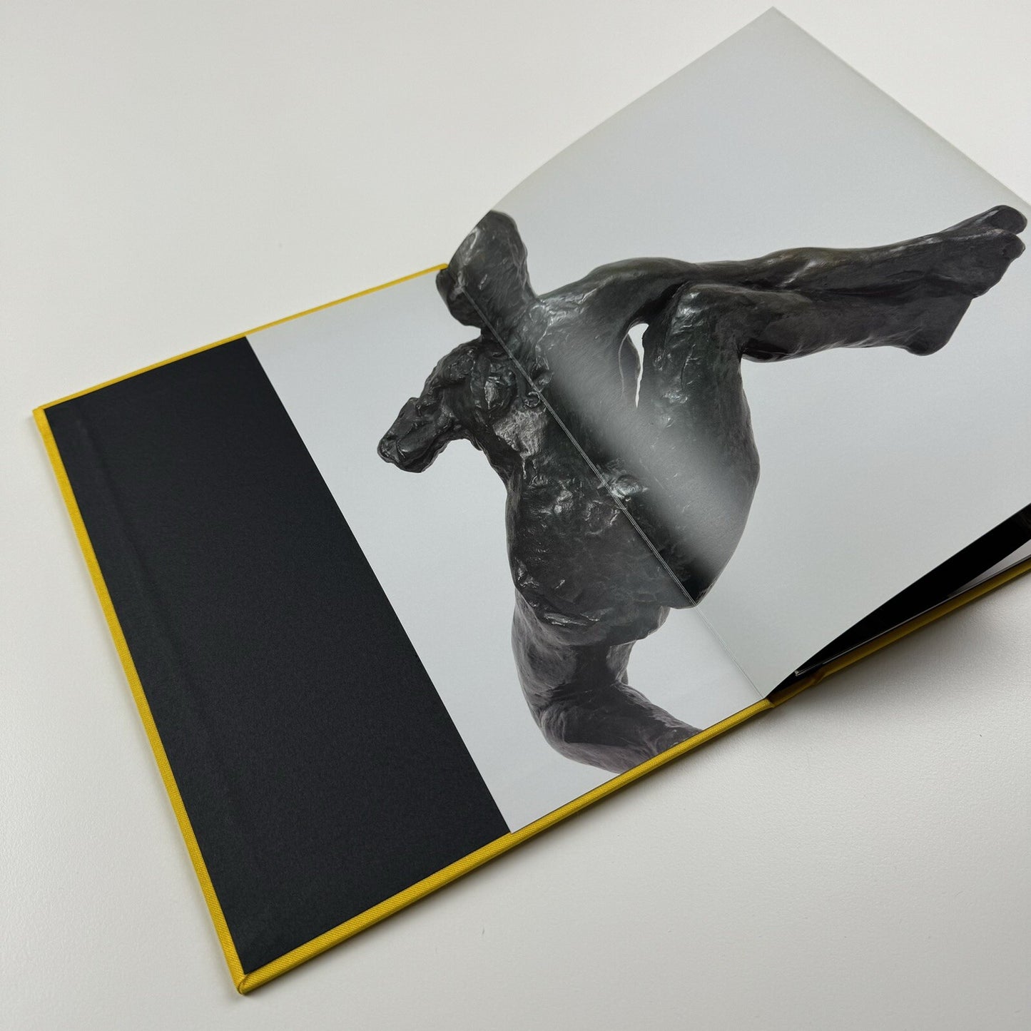 Movement and Gravity – Bacon and Rodin in Dialogue | Ordovas catalogue, 2013