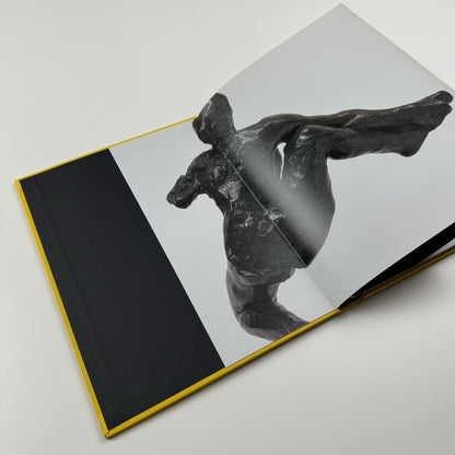Movement and Gravity – Bacon and Rodin in Dialogue | Ordovas catalogue, 2013