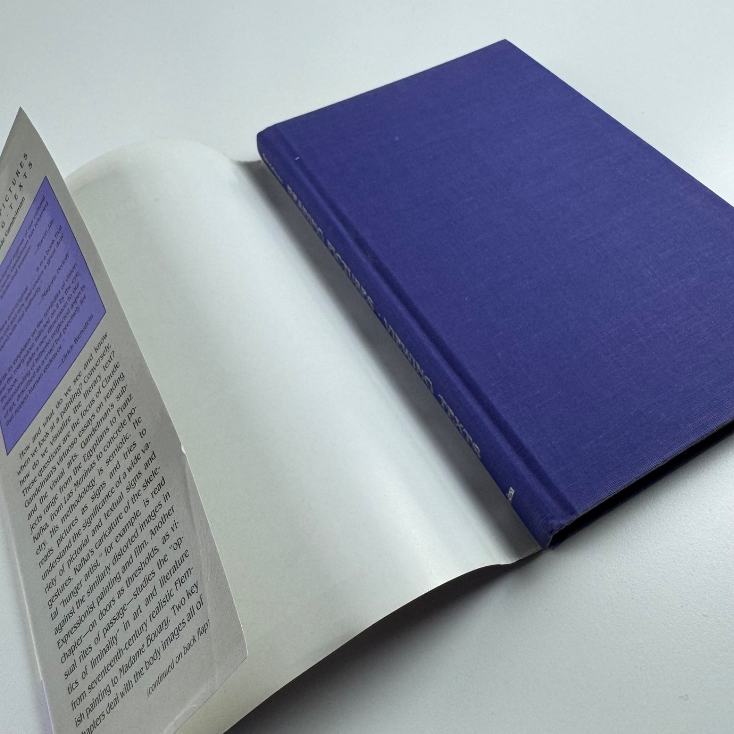 Reading Pictures Viewing Texts by Claude Gandelman | Indiana University Press, 1991