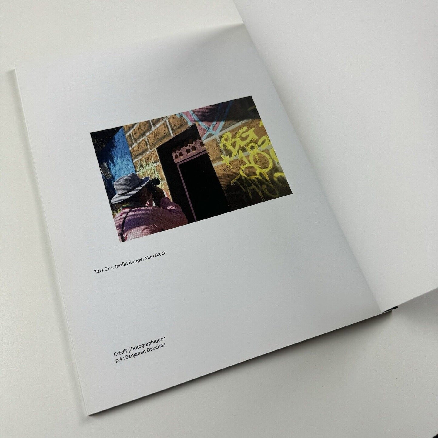 Olivier Dassault. Focus | Fondation Montresso 2016