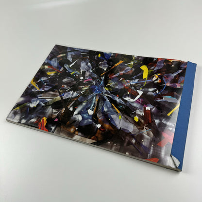 Kristin Baker. Surge and Shadow | Deitch Projects New York 2007 catalogue