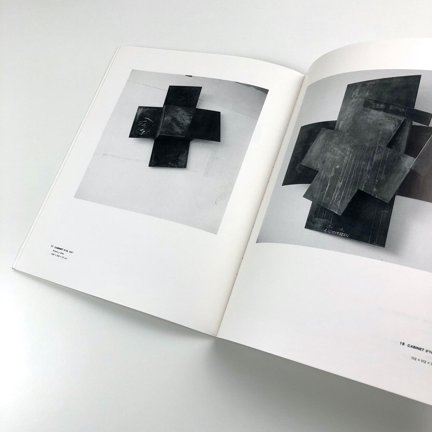 Txomin Badiola | Galeria De Arte Soledad Lorenzo, Madrid exhibition catalogue, 1987