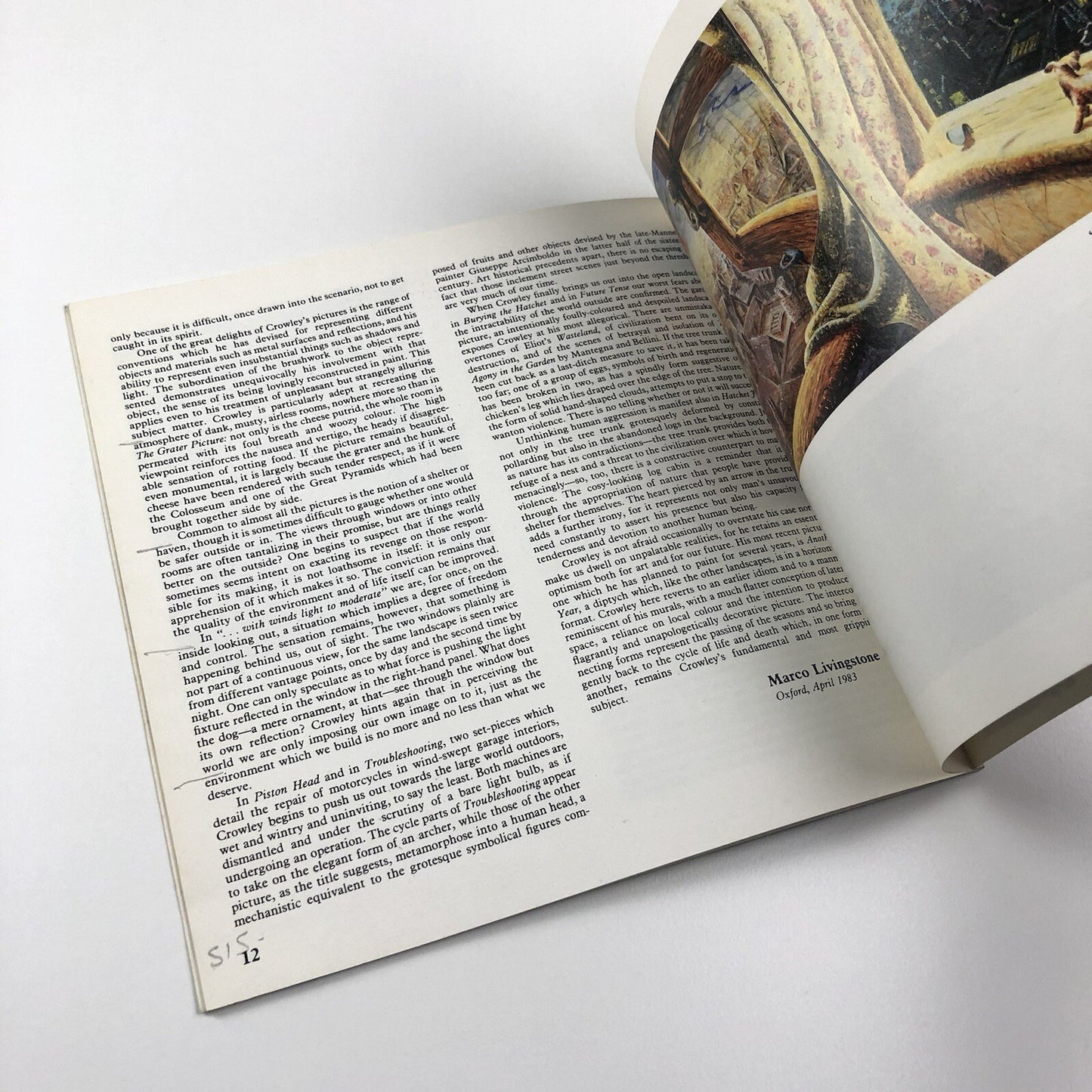 Graham Crowley – Home Comforts | Museum of Modern Arts Oxford, 1983