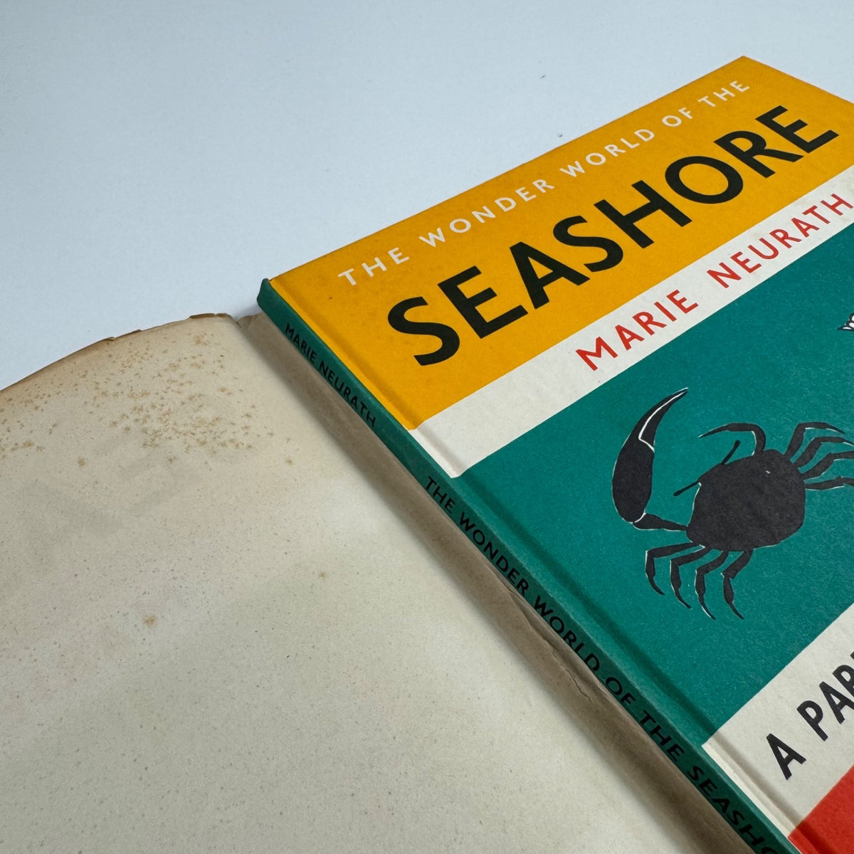 The Wonder World of the Seashore Marie Neurath, Max Parrish second edition Isotype Institute