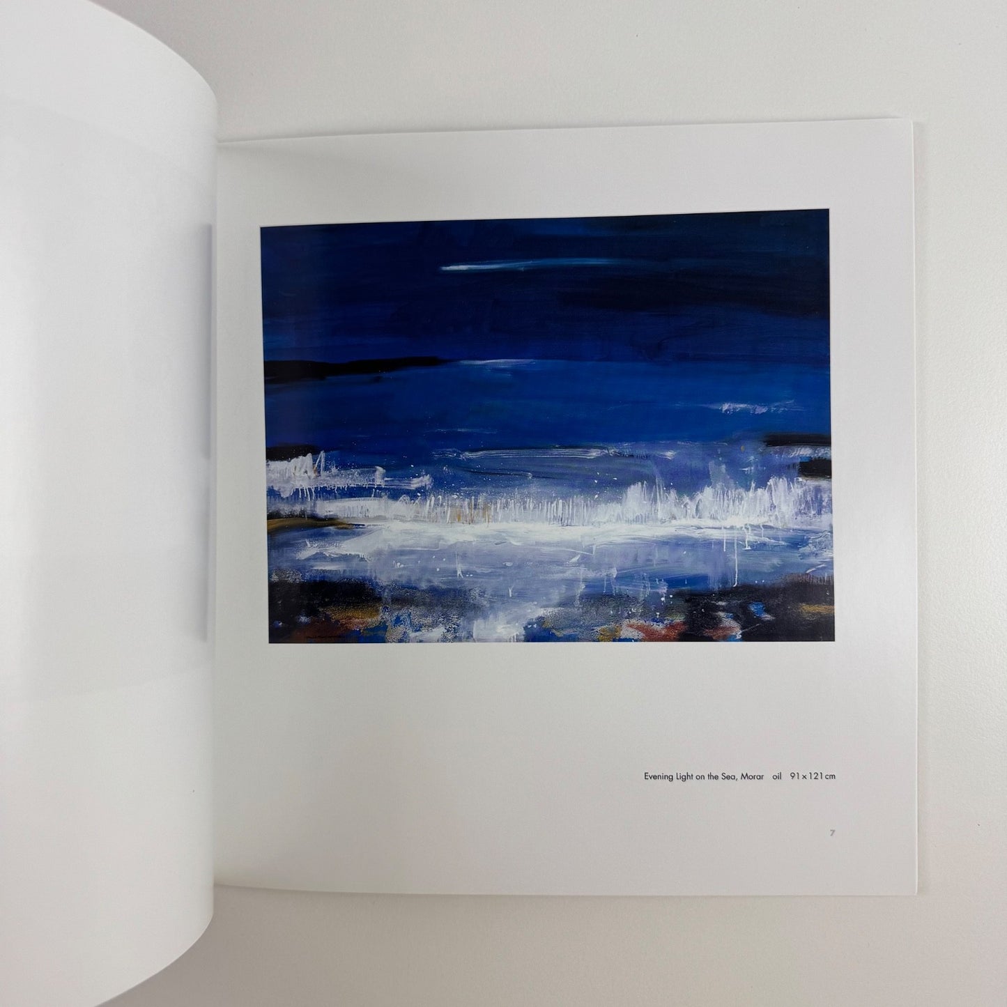Hamish MacDonald. The Art of Drawing Good From Bad | Lemon Street Gallery 2008