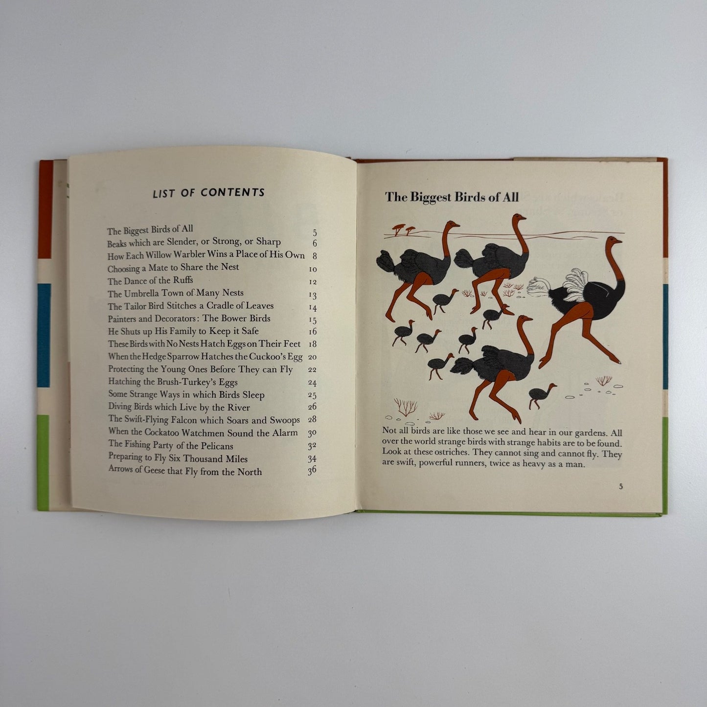 The Wonder World of Birds by Marie Neurath | Max Parrish, 1953 Isotype Institute