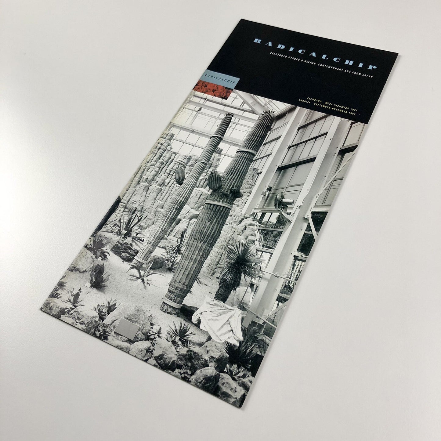 Radicalchip. Contemporary Art from Japan | Gallery guide, 1991 Japan Festival