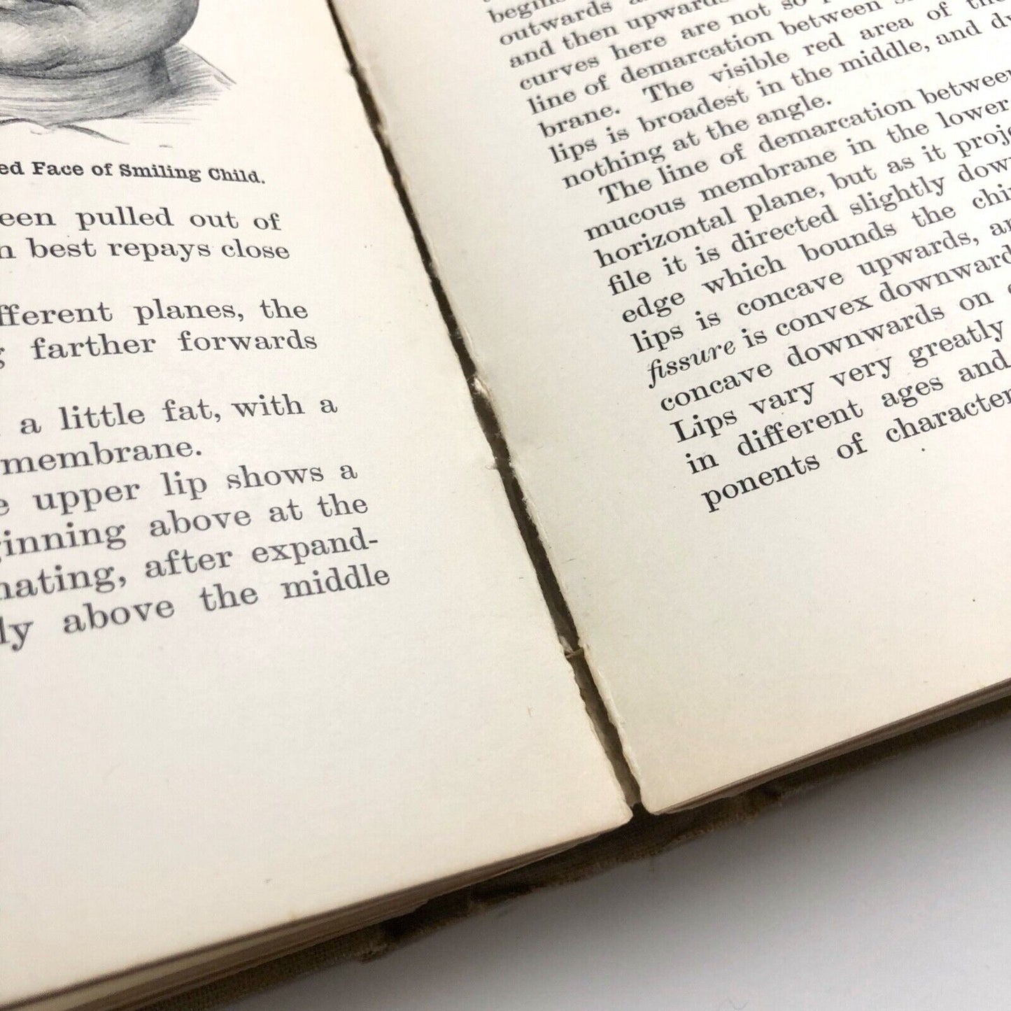 Human Anatomy for Art Students by Sir Alfred Fripp and Ralph Thompson 1911