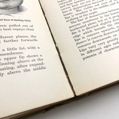 Human Anatomy for Art Students by Sir Alfred Fripp and Ralph Thompson 1911