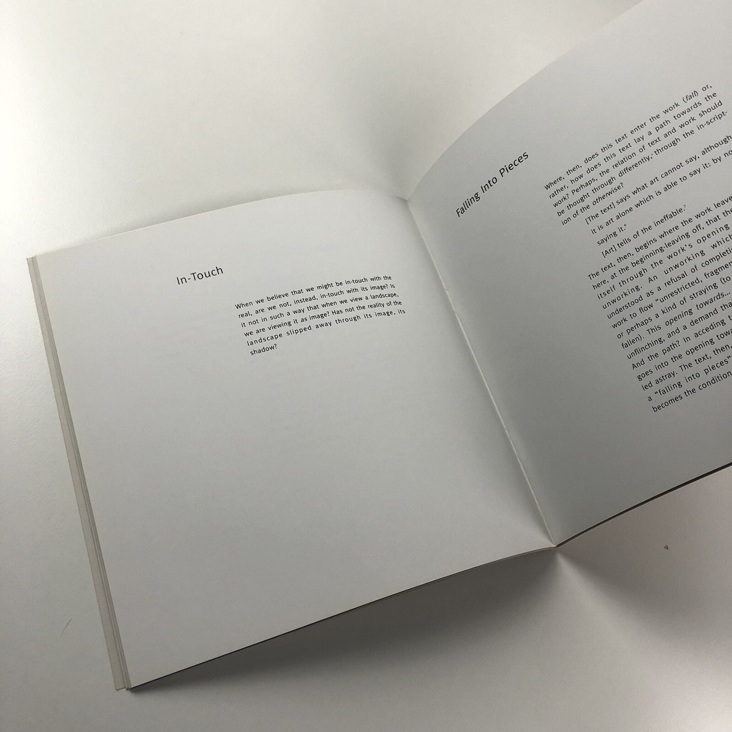 Fall. Monica Ross | Chapter, Wales 1994 exhibition catalogue
