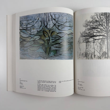 Mondrian from figurations to abstraction by Herbert Henkels 1988