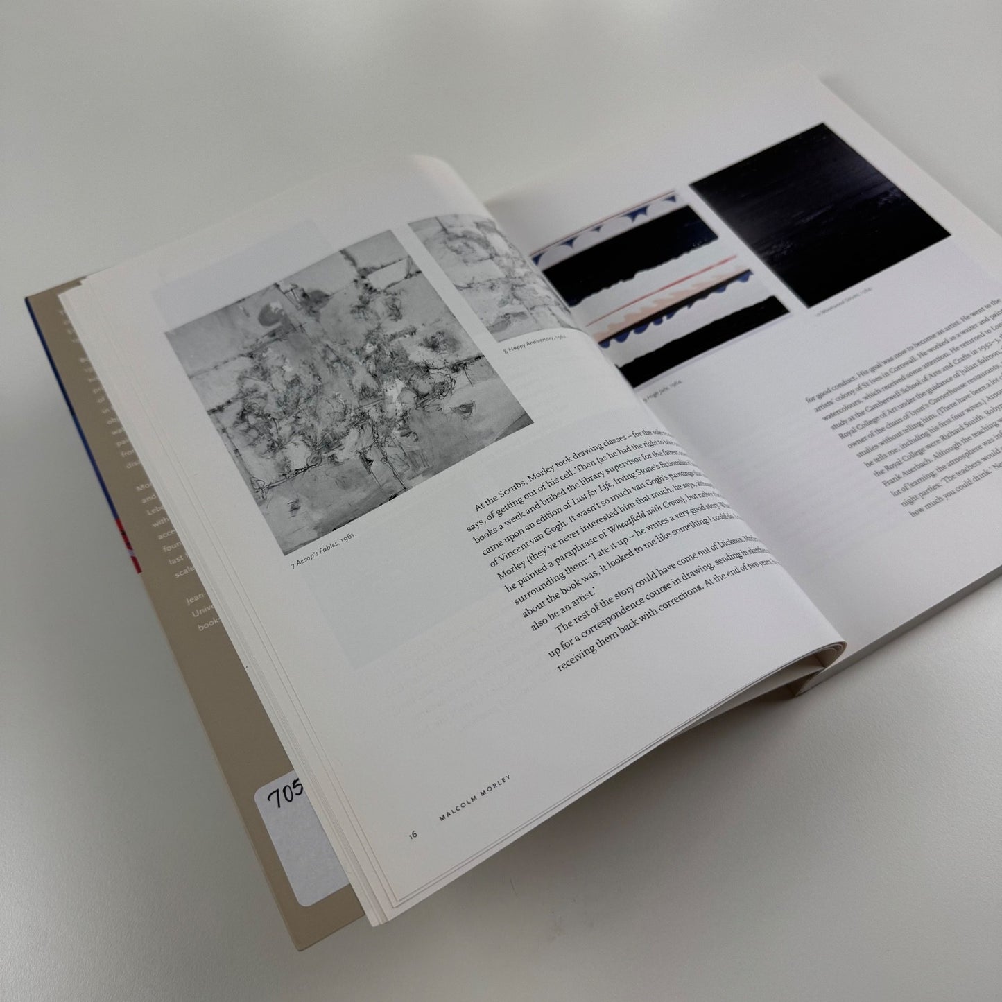 Malcolm Morley. Itineraries by Jean-Claude Lebensztejn | Reaktion, 2001