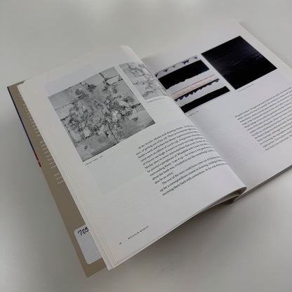 Malcolm Morley. Itineraries by Jean-Claude Lebensztejn | Reaktion, 2001