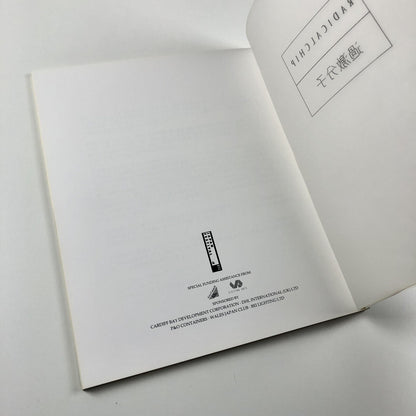 Radicalchip. Contemporary Art from Japan | Chapter, FFotogallery and Oriel 1991