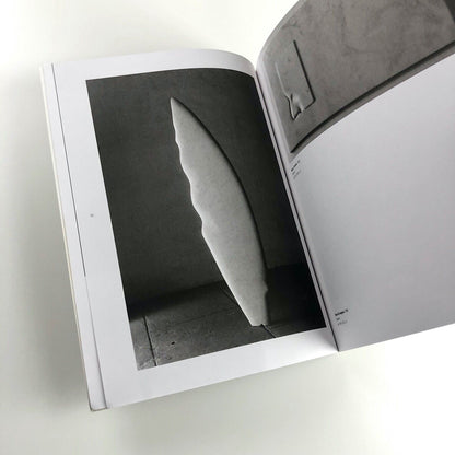 Domenico Borrelli exhibition catalogue | Studio Recalcati, Torino, 1998