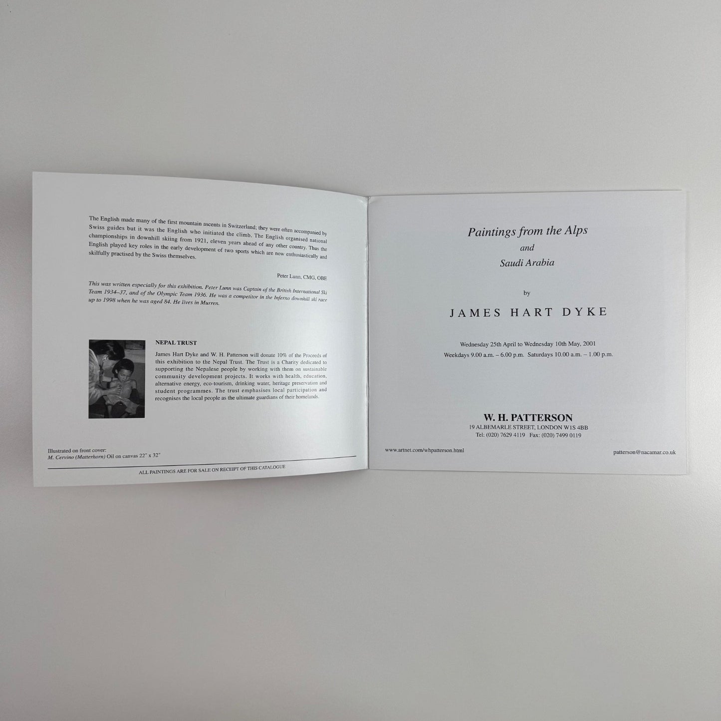 Paintings from the Alps and Saudi Arabia by James Hart Dyke | W.H. Patterson, 2001