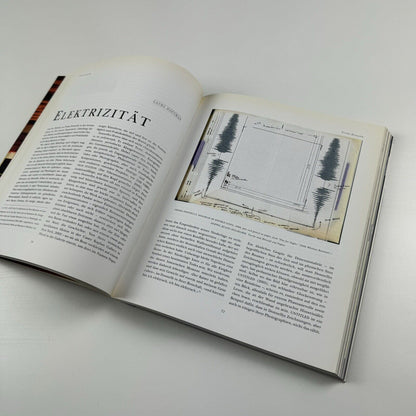 Parkett. No 77, 2006 journal | Carsten Höller, Trisha Donnelly, Rudolf Stingel