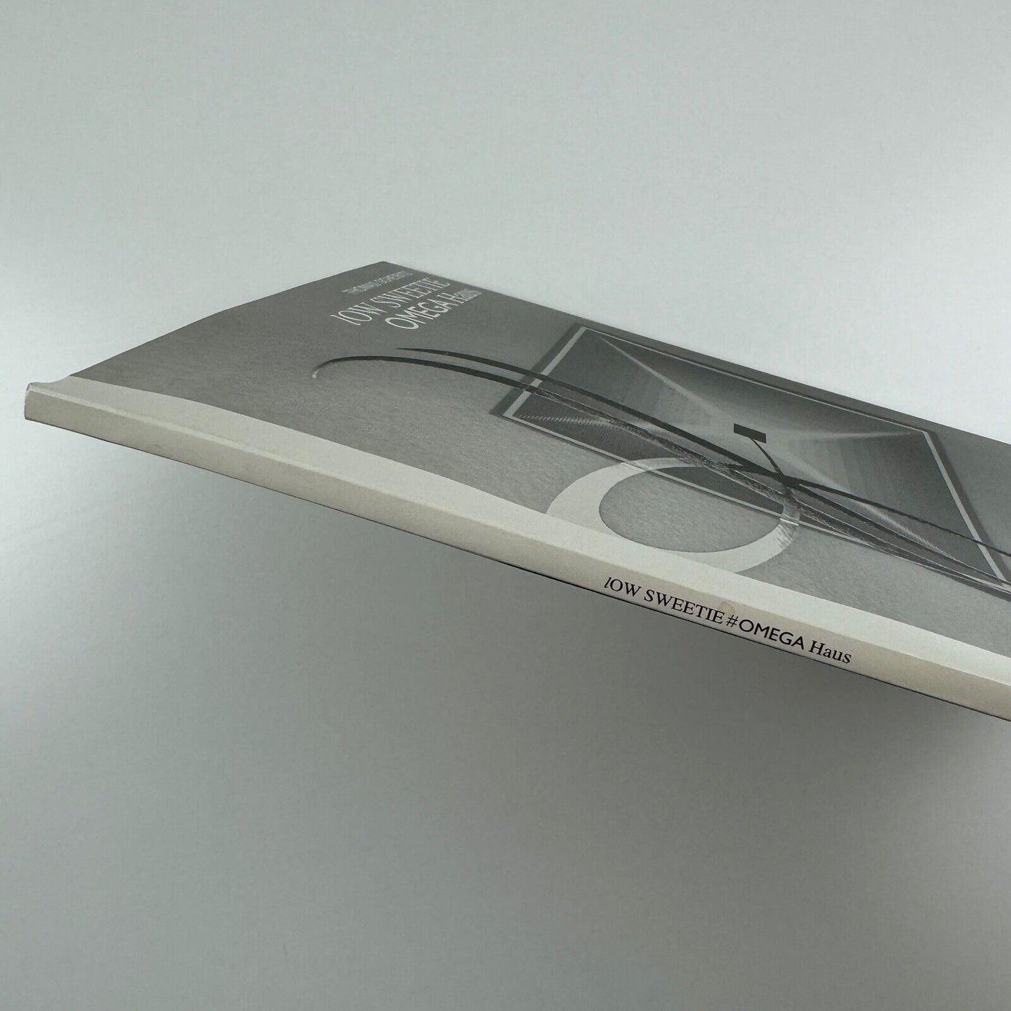 Thomas Scheibitz. Low sweetie Omega Haus | Produzentengalerie, Hamburg, 2006