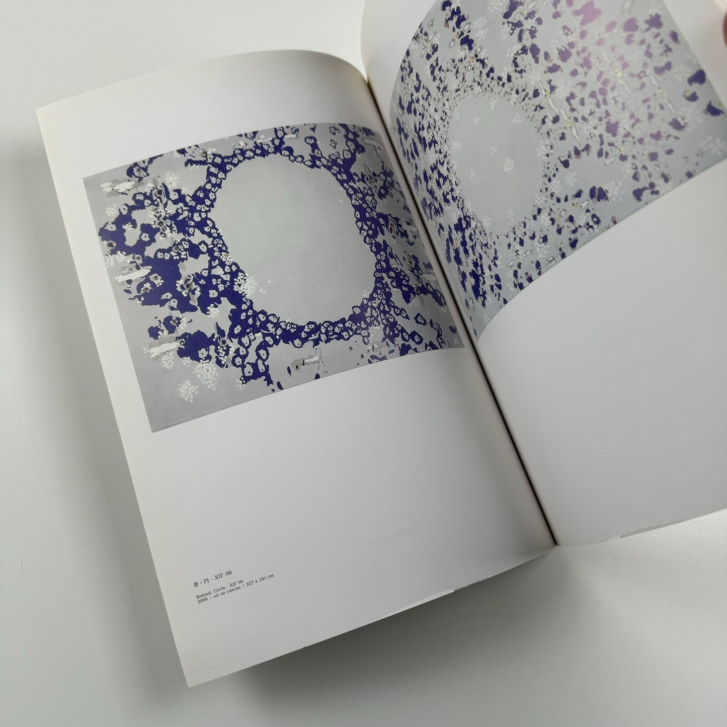 Natsuyuki Nakanishi. “Behind, Circle” | SCAI The Bathhouse Tokyo Japan, 2009