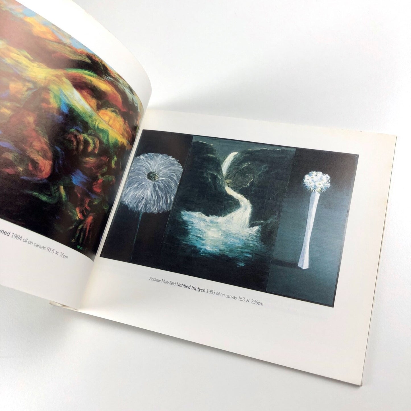 Landscape, Memory and Desire | Serpentine Galleries 1984/5 Andrew Mansfield et al