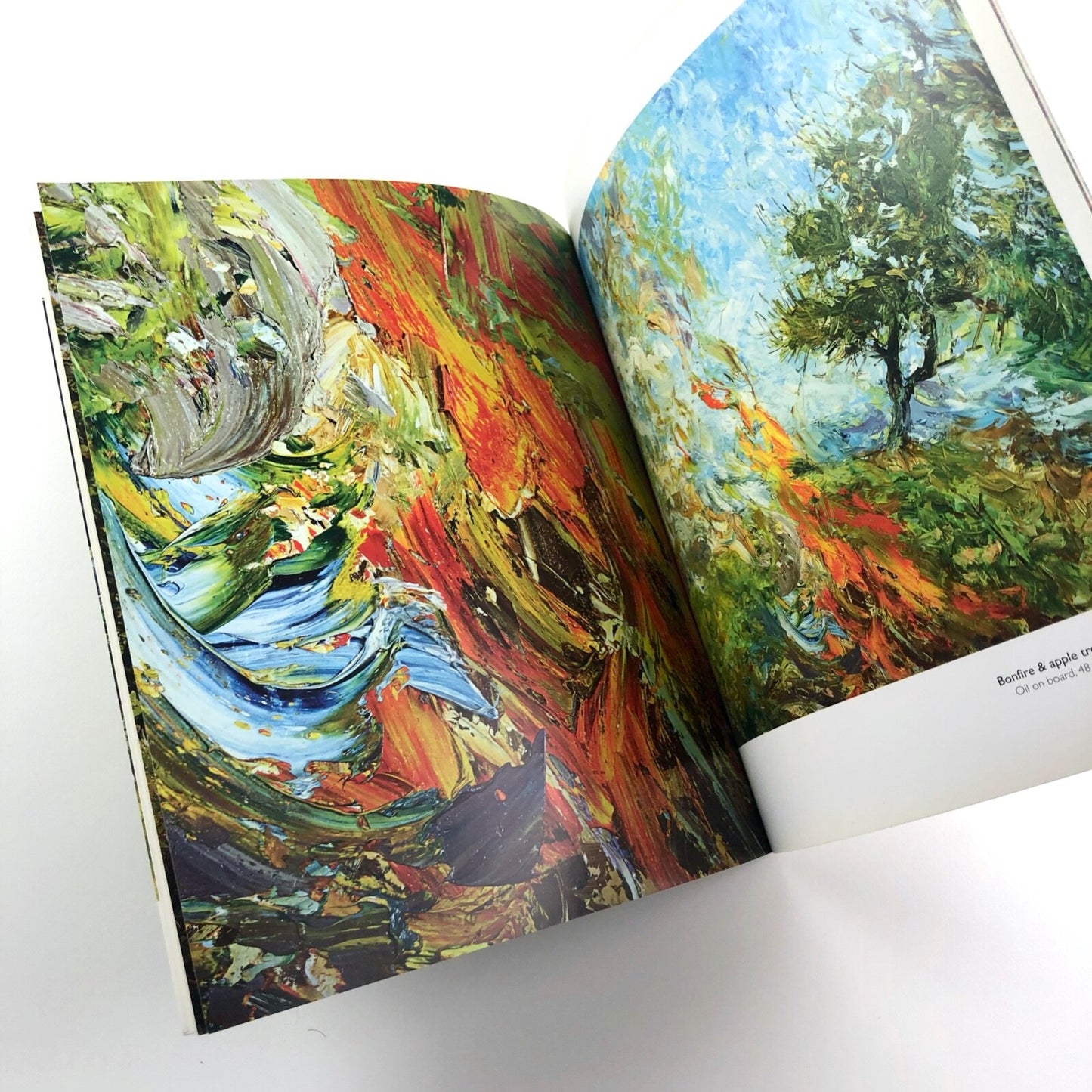 Ray Atkins. At the Forest’s Edge. Paintings 2015 | Art Space Gallery catalogue
