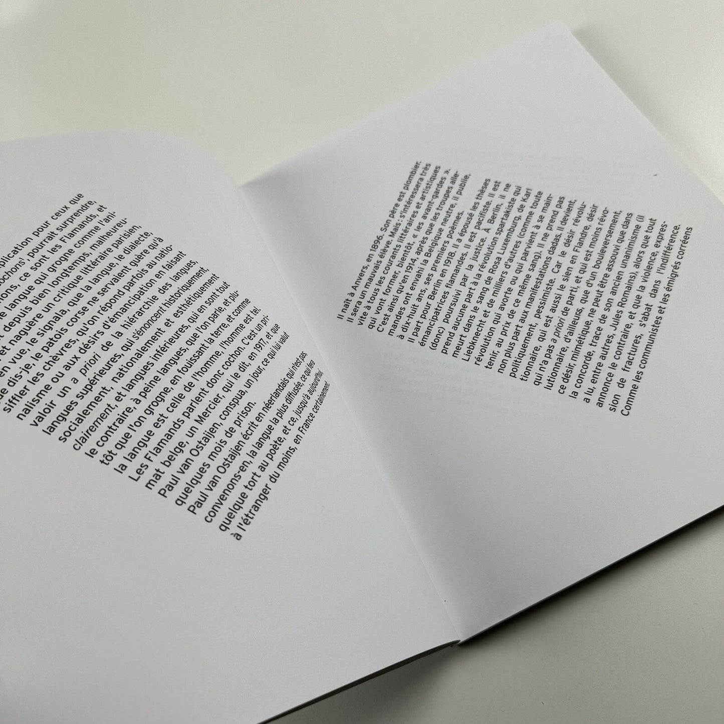 Le Dada pour Cochons Paul van Ostaijen | Textuel Editions, 2003