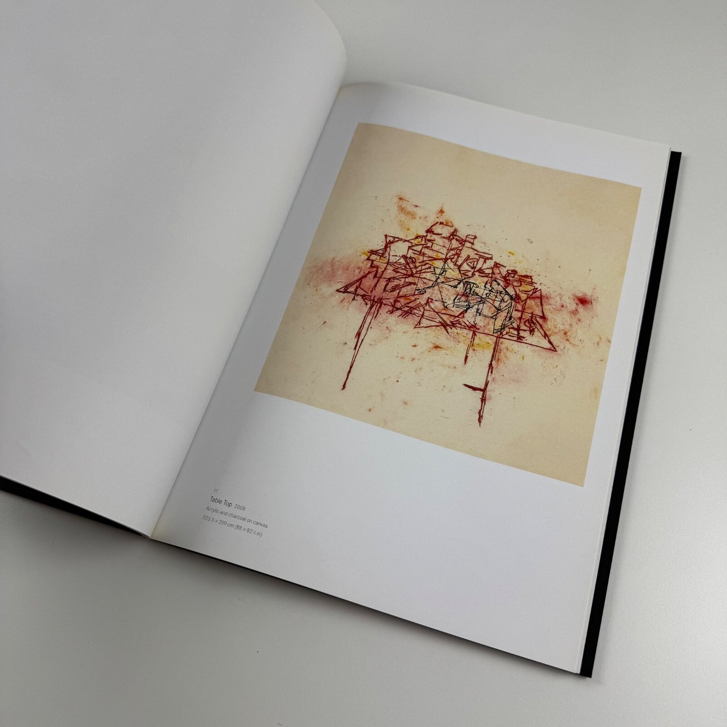 Tony Bevan. New Paintings | Ben Brown Fine Arts, 2008