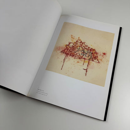 Tony Bevan. New Paintings | Ben Brown Fine Arts, 2008