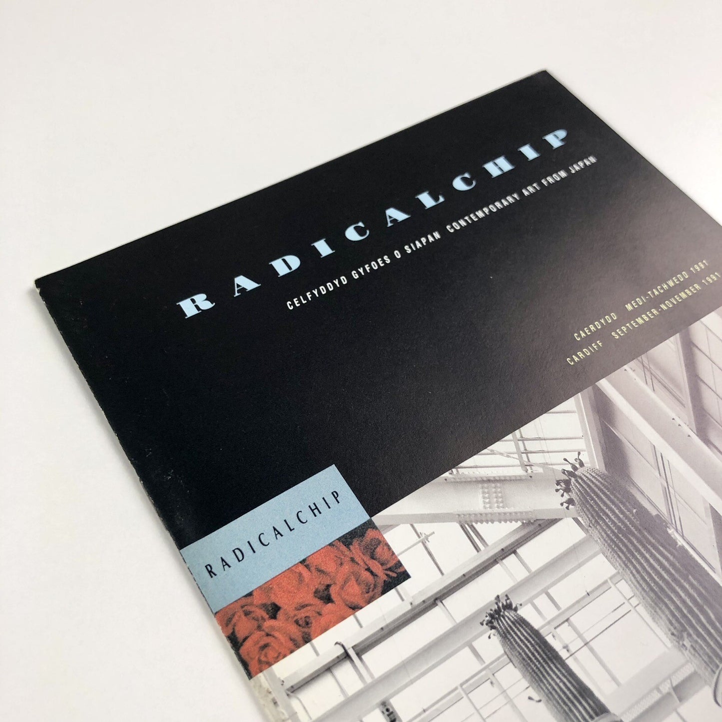 Radicalchip. Contemporary Art from Japan | Gallery guide, 1991 Japan Festival