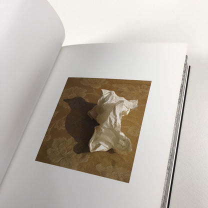 Helen Sear – Tale by David Chandler | Contemporary Temporary Artspace, 2009