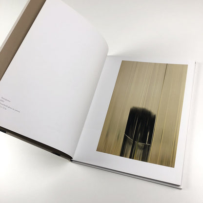Fiction/Fear/Fact/ Rachel Howard | Other Criteria, 2007